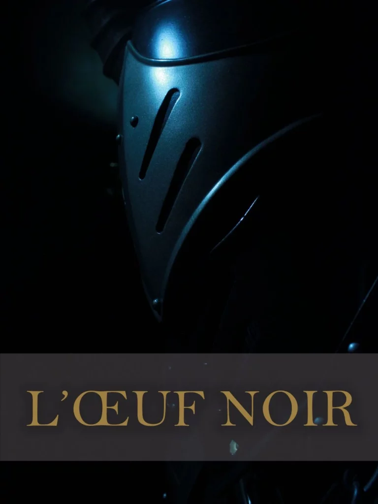 Crack the Egg Escape Game Paris 12eme - Affiche Oeuf Noir