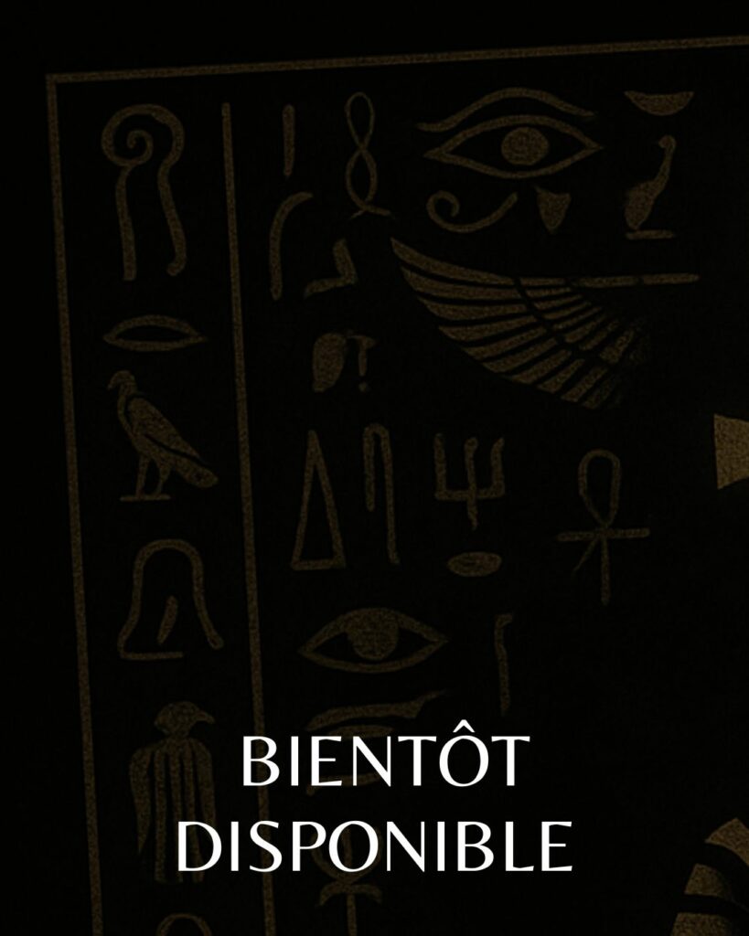 Crack the Egg Escape Game Paris 12eme - bientot disponible